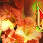اشعارولادت حضرت علی اکبرعلیه السلام _ مجموعه اول
