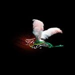 شعر مناجات با ابا عبدالله الحسین علیه السلام – مجموعه هشتم